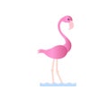 Flamingo. Cartoons pink bird on white background